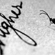 Illustration for article titled How To Take Gorgeous Macro Photos